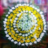 萧山开业花篮